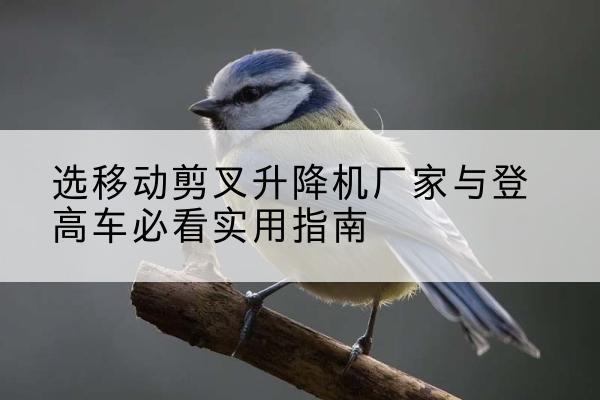 江门电动升降机厂家-选移动剪叉升降机厂家与登高车必看实用指南