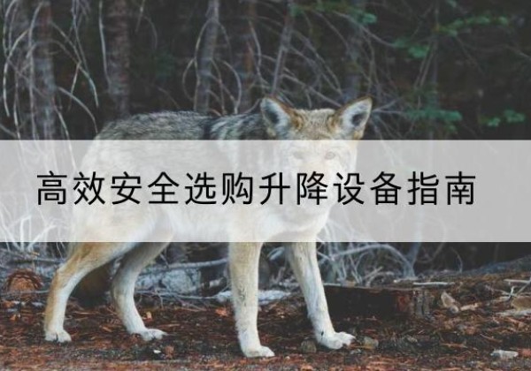 江门升降货梯厂家推荐-*安全选购升降设备指南
