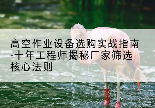 江门剪叉式升降机厂家-高空作业设备选购实战指南-十年工程师揭秘厂家筛选核心法则